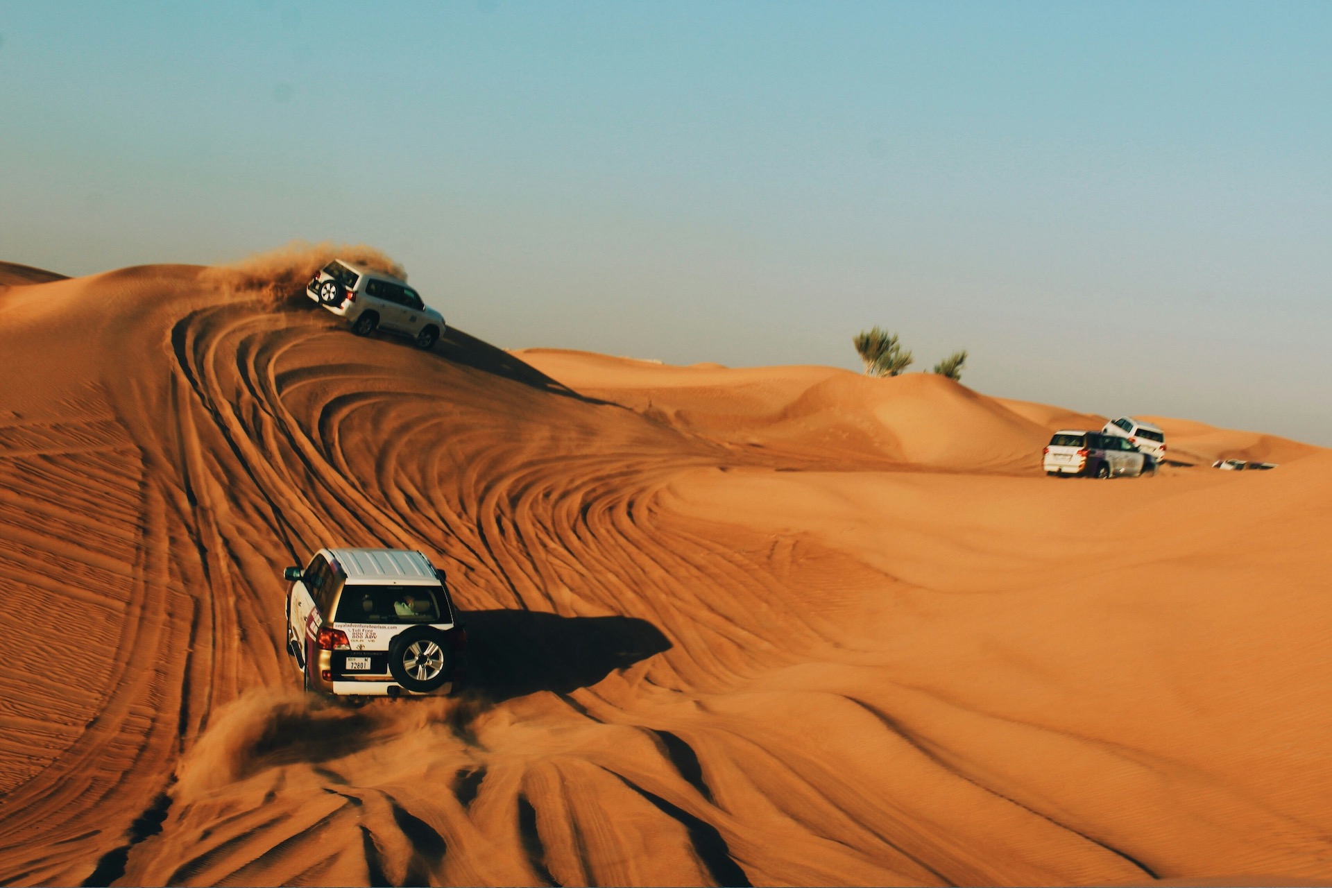Dubai Heritage and Desert