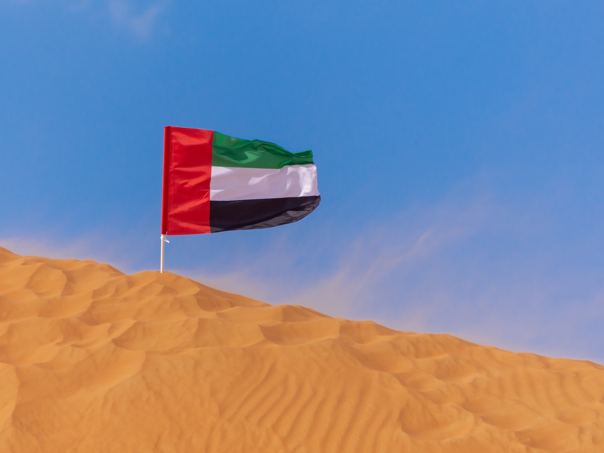UAE Flag and Dubai Immigration